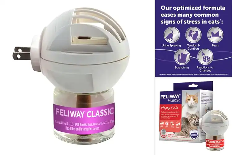 Detailed view of Best 30 Day Diffuser Life For Pets