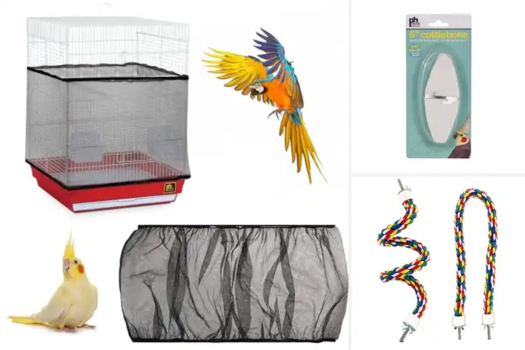 Detailed view of Best Bird Cage Accessories