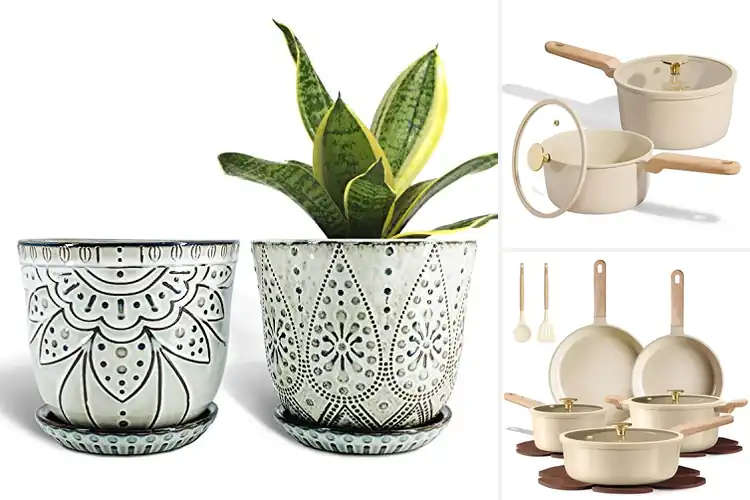 Detailed view of Best Ceramic Pots – Durable, Safe, Stylish for Cooking