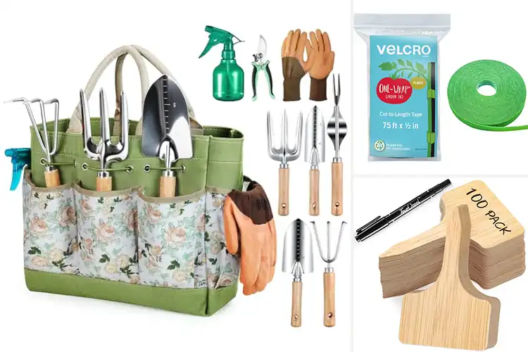 Detailed view of Best Garden Accessories