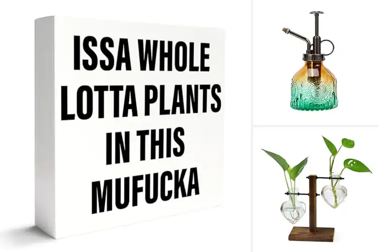 Detailed view of Best Gifts For Plant Lovers: 10 Unique & Thoughtful Ideas