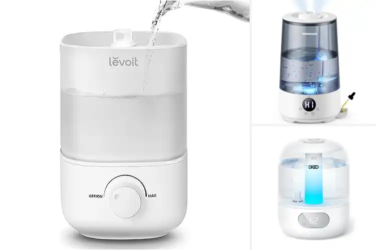 Detailed view of Best Humidifiers For Allergies