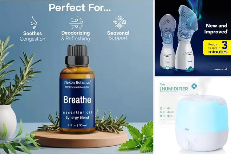 Detailed view of Best Humidifiers For Allergy Relief