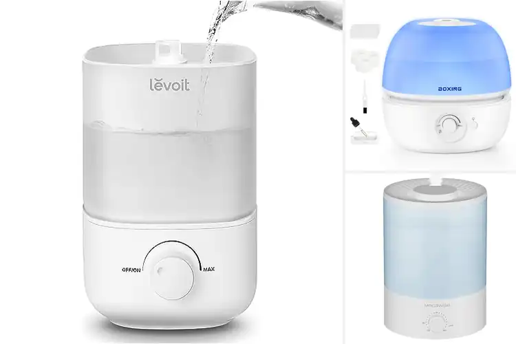 Detailed view of Best Humidifiers For Dry Air Conditions