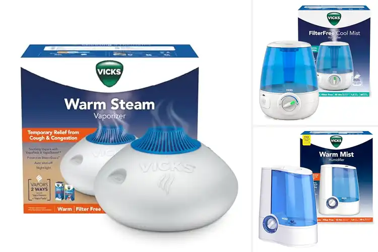 Detailed view of Best Humidifiers for Respiratory Health