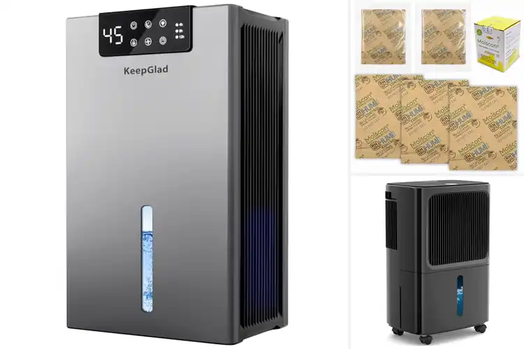 Detailed view of Best Humidity Control Products For Homes