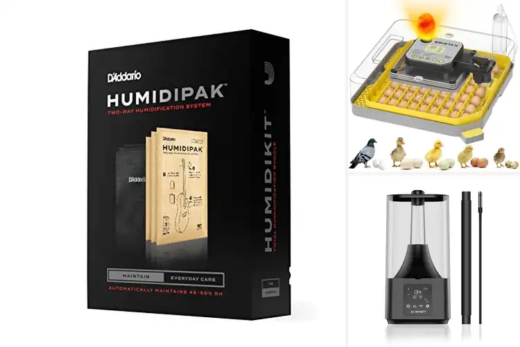 Detailed view of Best Humidity Control Systems