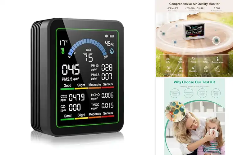 Detailed view of Best Indoor Air Quality Products