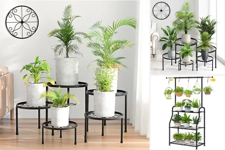 Detailed view of Best Patio Plant Stands