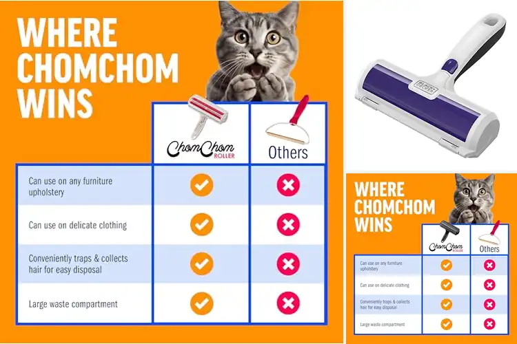 Detailed view of Best Pet Hair Removers: Top Tools for a Fur‑Free Home