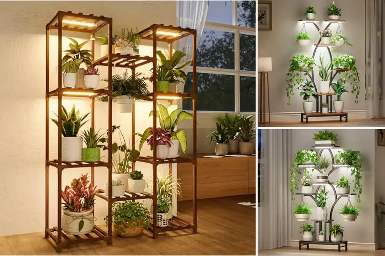 Detailed view of Best Plant Stand Lights Gift