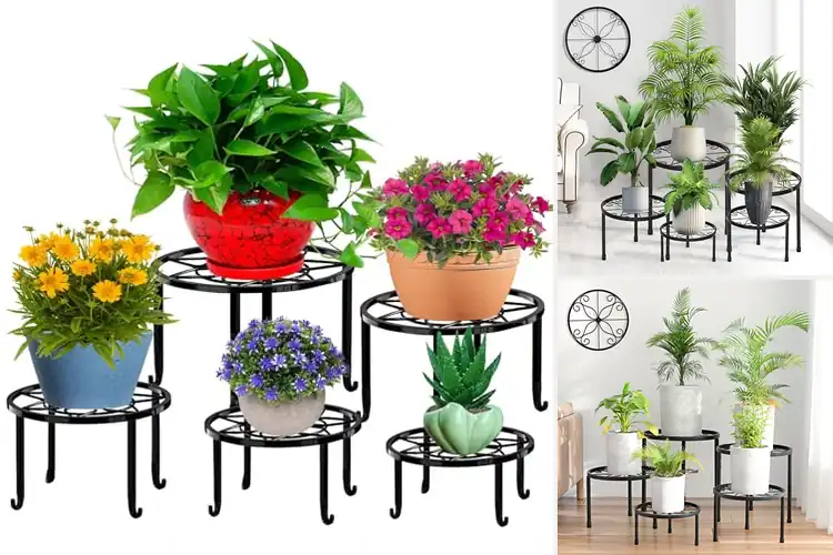 Detailed view of Best Plant Stands Outdoors