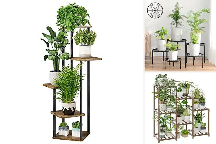 Detailed view of Best Plant Stands
