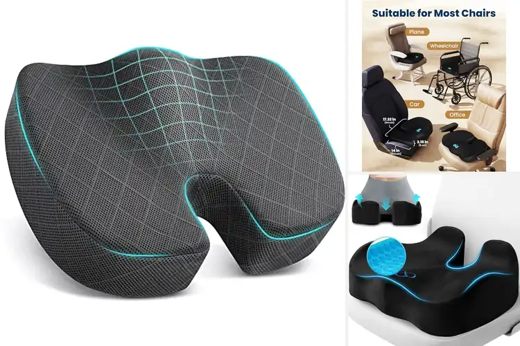Detailed view of Best Seat Cushions For Office Chairs