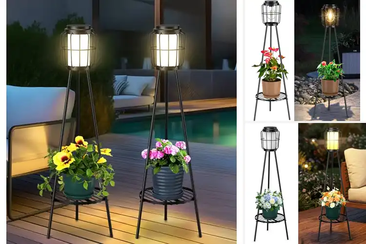 Detailed view of Best Solar Plant Stands