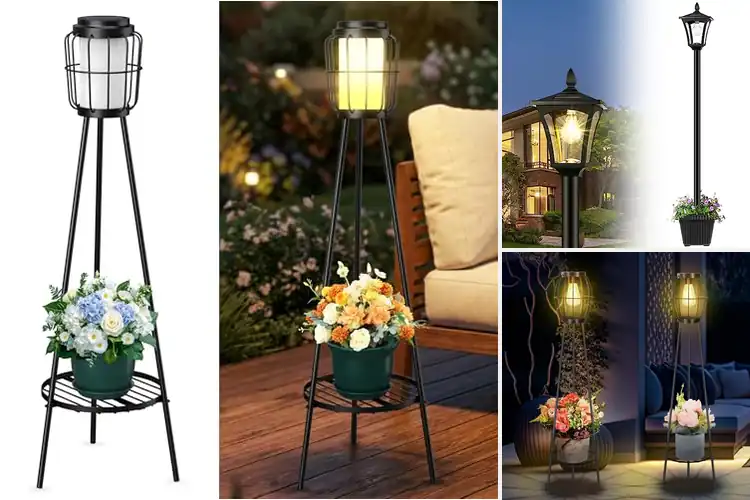 Detailed view of Best Solar Street Light Plant Stand