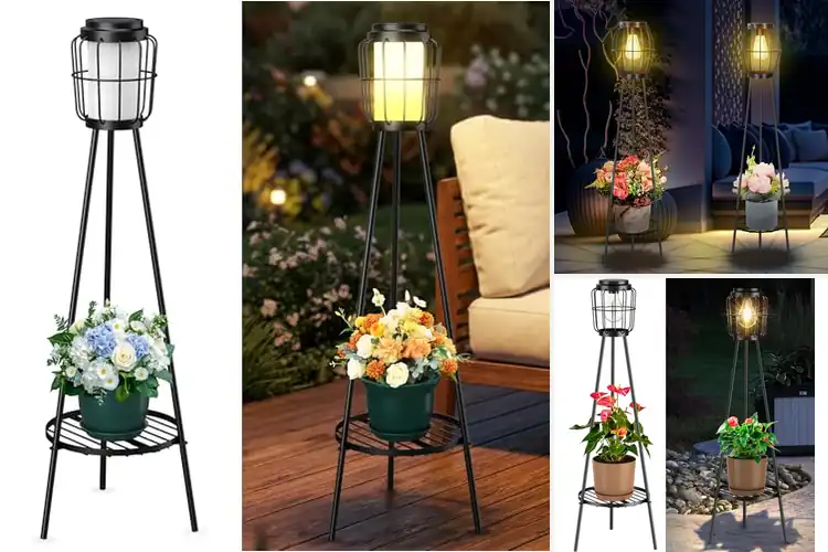 Detailed view of Best Solar Street Lights With Plant Stands