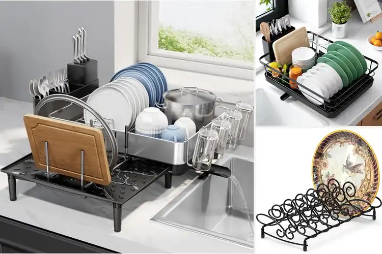 Detailed view of Best Ten Plate Dish Rack