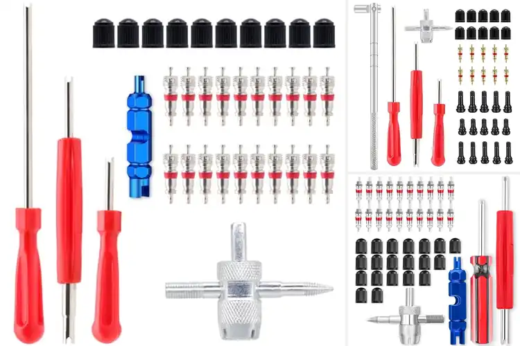 Detailed view of Best Tire Valve Tools