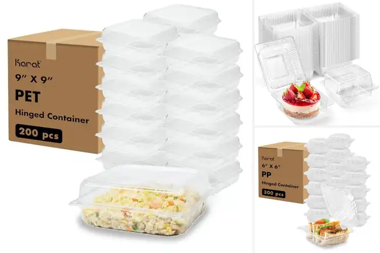 Detailed view of Best Translucent To Go Boxes